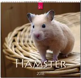 HAMSTER | Sonstiges | 978-3-8003-5766-6 | www.sack.de