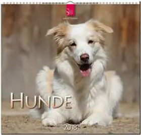HUNDE | Sonstiges | 978-3-8003-5767-3 | www.sack.de