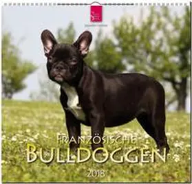 FRANZÖSISCHE BULLDOGGEN | Sonstiges | 978-3-8003-5769-7 | www.sack.de