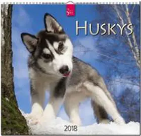 HUSKYS | Sonstiges | 978-3-8003-5771-0 | www.sack.de