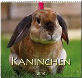 KANINCHEN | Sonstiges | 978-3-8003-5774-1 | www.sack.de