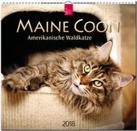 MAINE COON - Amerikanische Waldkatze | Sonstiges | 978-3-8003-5776-5 | www.sack.de