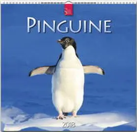 PINGUINE | Sonstiges | 978-3-8003-5780-2 | sack.de