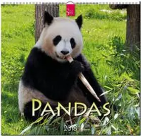 PANDAS | Sonstiges | 978-3-8003-5781-9 | www.sack.de