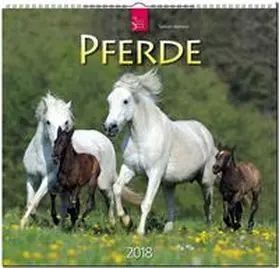 PFERDE | Sonstiges | 978-3-8003-5782-6 | www.sack.de