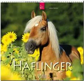 HAFLINGER | Sonstiges | 978-3-8003-5784-0 | www.sack.de