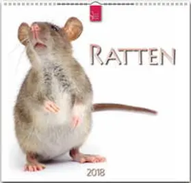 RATTEN | Sonstiges | 978-3-8003-5788-8 | www.sack.de