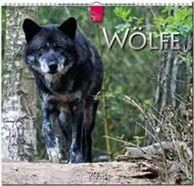WÖLFE | Sonstiges | 978-3-8003-5790-1 | www.sack.de