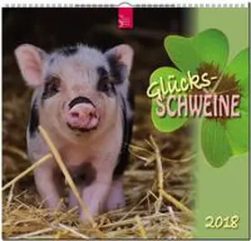 Glücksschweine | Sonstiges | 978-3-8003-5798-7 | sack.de