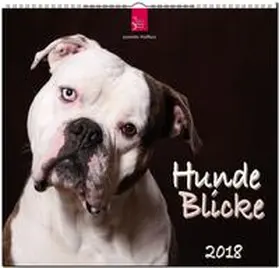 HundeBlicke | Sonstiges | 978-3-8003-5799-4 | www.sack.de
