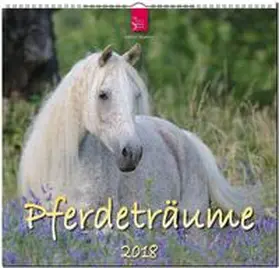 PFERDETRÄUME | Sonstiges | 978-3-8003-5800-7 | www.sack.de