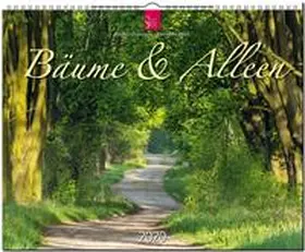  Bäume & Alleen 2020 | Sonstiges |  Sack Fachmedien