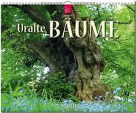  Uralte Bäume 2020 | Sonstiges |  Sack Fachmedien