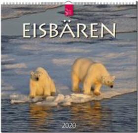  Eisbären 2020 | Sonstiges |  Sack Fachmedien