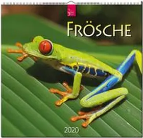  Frösche 2020 | Sonstiges |  Sack Fachmedien