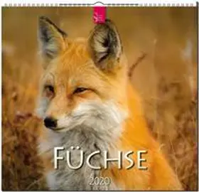Füchse 2020 | Sonstiges | 978-3-8003-6157-1 | www.sack.de