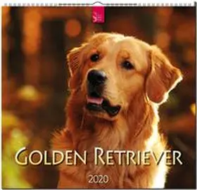  Golden Retriever 2020 | Sonstiges |  Sack Fachmedien