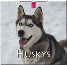  Huskys 2020 | Sonstiges |  Sack Fachmedien