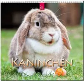  Kaninchen 2020 | Sonstiges |  Sack Fachmedien