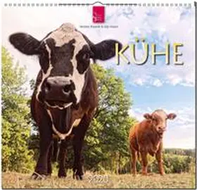  Kühe 2020 | Sonstiges |  Sack Fachmedien