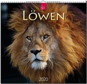 Löwen 2020 | Sonstiges |  Sack Fachmedien