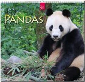  Pandas 2020 | Sonstiges |  Sack Fachmedien