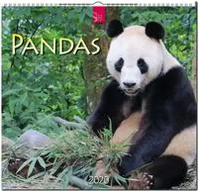  Pandas 2020 | Sonstiges |  Sack Fachmedien