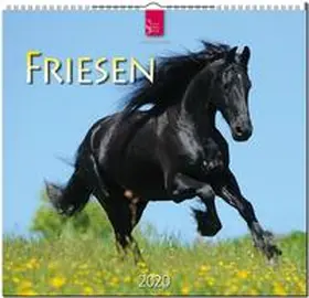 Friesen 2020 | Sonstiges | 978-3-8003-6183-0 | sack.de