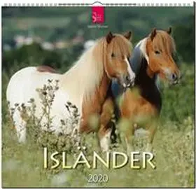 Isländer 2020 | Sonstiges | 978-3-8003-6185-4 | sack.de