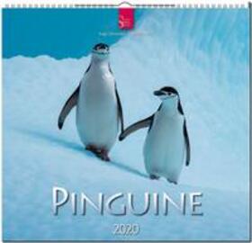  Pinguine 2020 | Sonstiges |  Sack Fachmedien