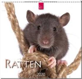  Ratten 2020 | Sonstiges |  Sack Fachmedien