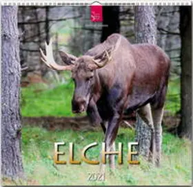  Elche 2021 | Sonstiges |  Sack Fachmedien