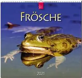  Frösche 2021 | Sonstiges |  Sack Fachmedien