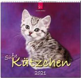  Süße Kätzchen 2021 | Sonstiges |  Sack Fachmedien