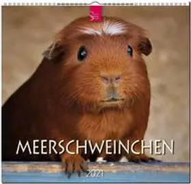  Meerschweinchen 2021 | Sonstiges |  Sack Fachmedien
