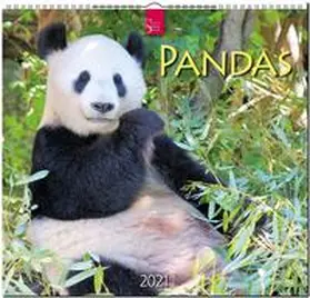  Pandas 2021 | Sonstiges |  Sack Fachmedien