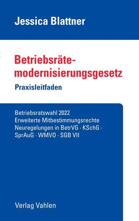 Blattner | Betriebsrätemodernisierungsgesetz | Buch | 978-3-8006-6718-5 | sack.de