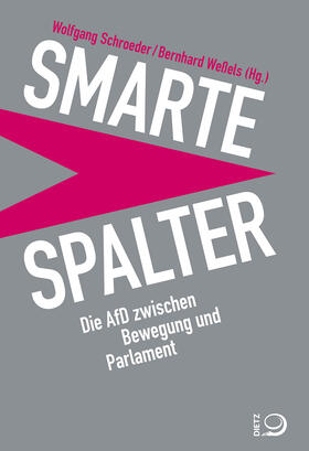 Schroeder / Weßels | Smarte Spalter | Buch | 978-3-8012-0552-2 | sack.de