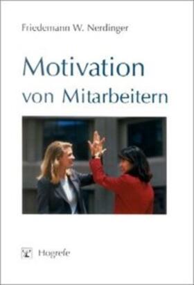Nerdinger |  Motivation von Mitarbeitern | Buch |  Sack Fachmedien