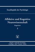 Schröger / Koelsch |  Affektive und Kognitive Neurowissenschaft | Buch |  Sack Fachmedien