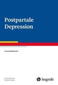 Wolkenstein |  Postpartale Depression | Buch |  Sack Fachmedien