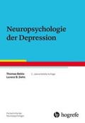 Beblo / Dehn |  Neuropsychologie der Depression | Buch |  Sack Fachmedien