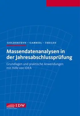 Goldshteyn / Gabriel / Thelen |  Massendatenanalysen in der Jahresabschlussprüfung | Buch |  Sack Fachmedien