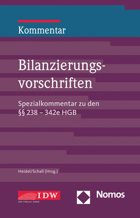 Heidel / Schall | Bilanzierungsvorschriften | Buch | 978-3-8021-2428-0 | sack.de