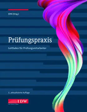 Institut der Wirtschaftsprüfer in Deutschland e.V. |  Prüfungspraxis, 2. Aufl. | Buch |  Sack Fachmedien