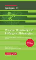 Nestler / Gaugenrieder-Schuster |  Chancen, Umsetzung und Prüfung von IT-Strategien | Buch |  Sack Fachmedien