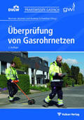 Jänchen / Schweitzer |  Überprüfung von Gasrohrnetzen | Buch |  Sack Fachmedien