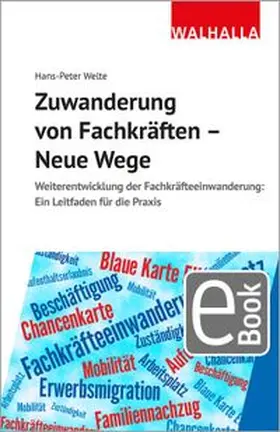 Welte |  Zuwanderung von Fachkräften - Neue Wege | eBook | Sack Fachmedien
