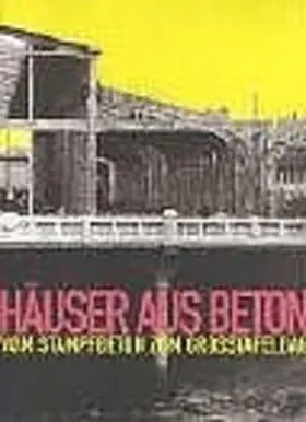 Hassler / Schmidt |  Häuser aus Beton | Buch |  Sack Fachmedien