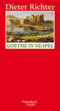 Richter |  Goethe in Neapel | Buch |  Sack Fachmedien